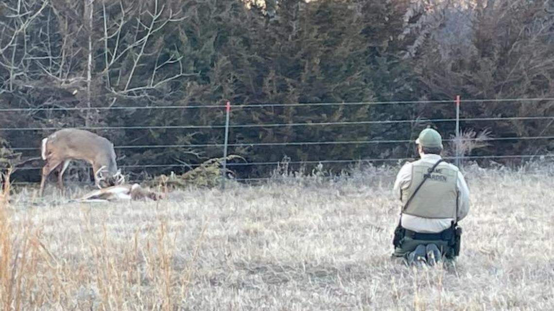 Two deer were reported being seen with their antlers locked by a landowner in Rantoul, Kansas, officials said. One buck was found dead.