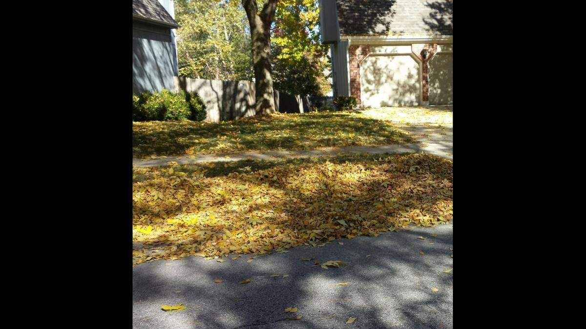 Avoid the urge to blow or sweep leaves out into the street. Letting nature take care of the leaves can cause lasting, substantial problems downstream. Leaves clog storm drain intakes, and cause street flooding and ice-over during winter.