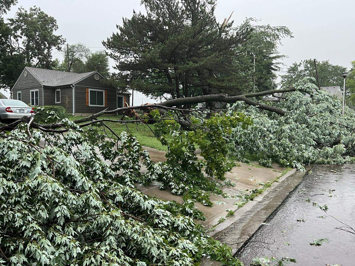 A large tree lies toppled in the front yard of a home in an Overland Park neighborhood Friday near 75th St. and Santa Fe after strong storms rolled through the area.