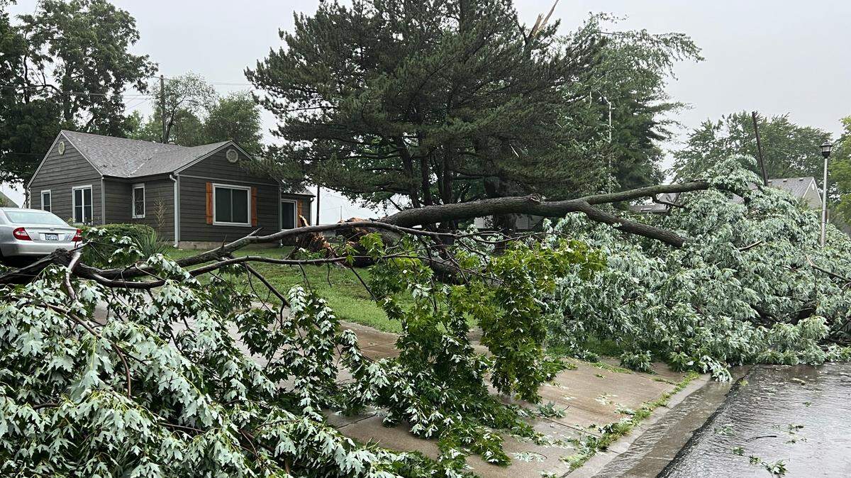 A large tree lies toppled in the front yard of a home in an Overland Park neighborhood Friday near 75th St. and Santa Fe after strong storms rolled through the area.