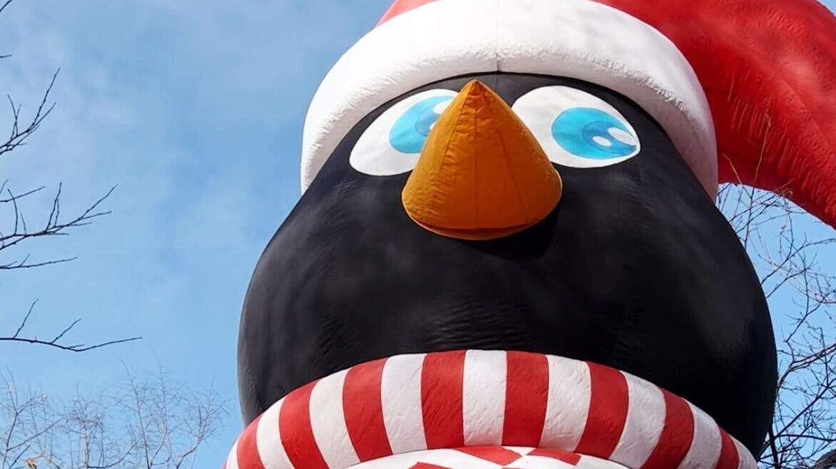 An inflatable penguin towers over an Olathe cul-de-sac. This is the last year Cindy Stout and Paul Craig will showcase their seasonal penguin display.