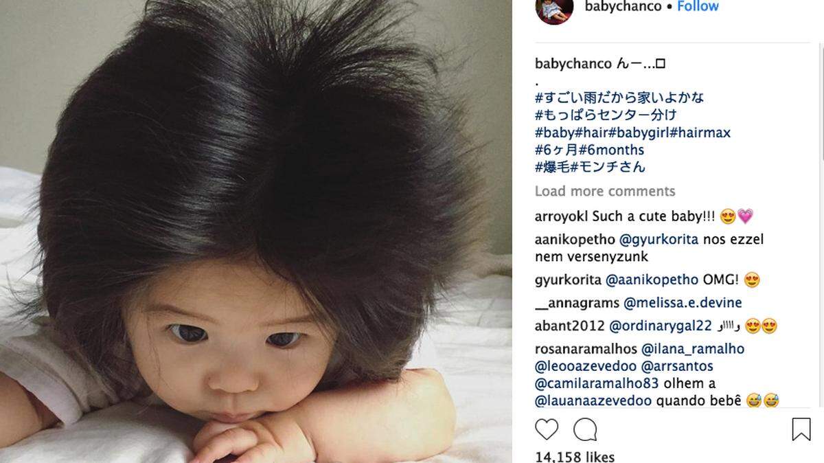 Seven-month-old Baby Chanco of Japan has become a viral sensation because of her enormous, glorious head of hair. Her Instagram ‘hair diary’ with nearly 50 photos has 118,000 followers.