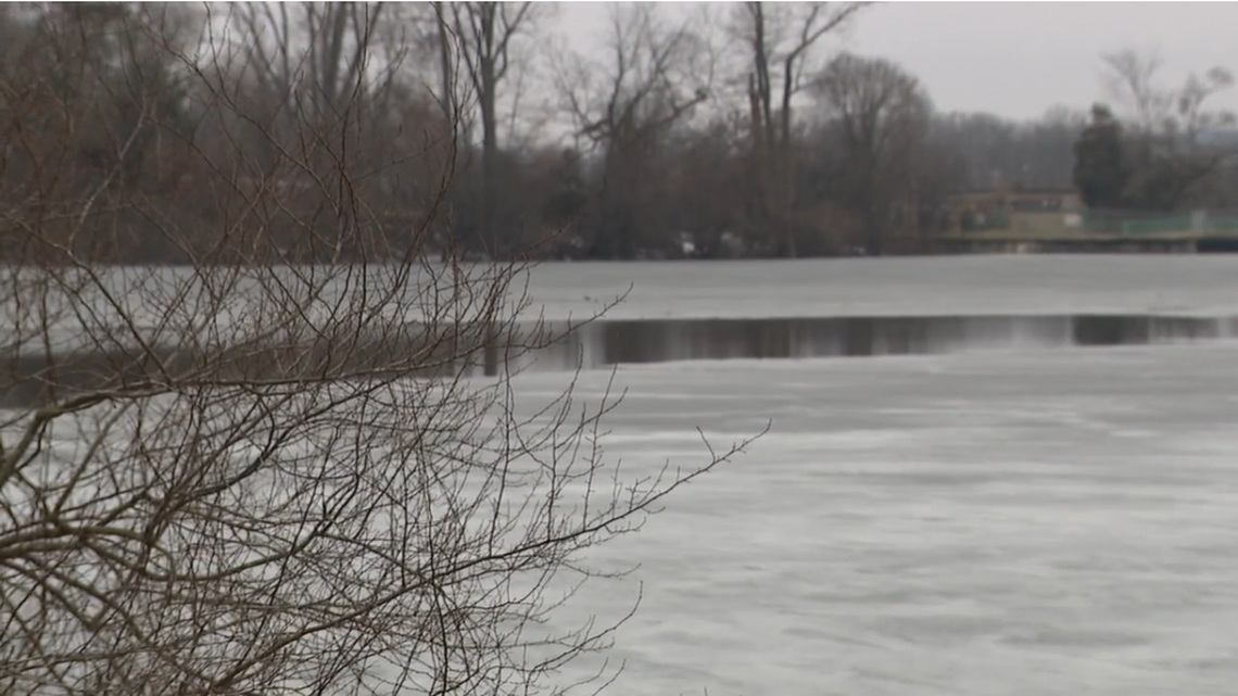 A 75-year-old woman was pulled from a freezing pond after falling through the ice, Michigan cops say.