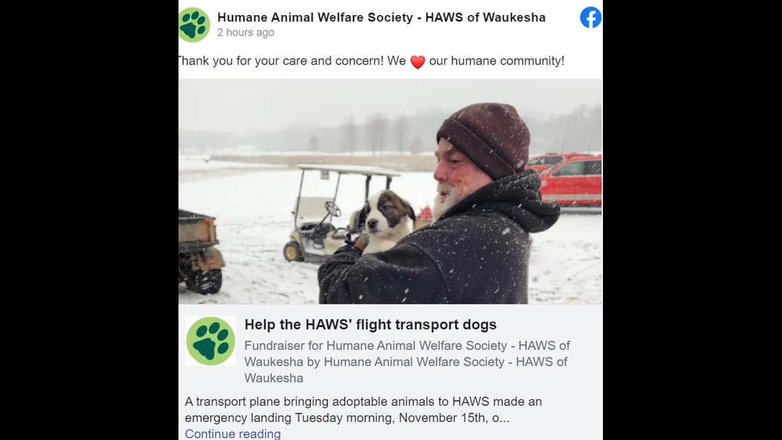 Humane Animal Welfare Society workers rushed to the scene and took custody of the dogs.