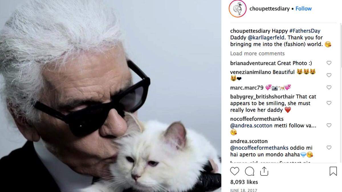 Karl Lagerfeld fans wonder how much of the Chanel creative director’s fortune his beloved cat, Choupette, stands to inherit. “Don’t worry, there is enough for everyone,” he said last year.