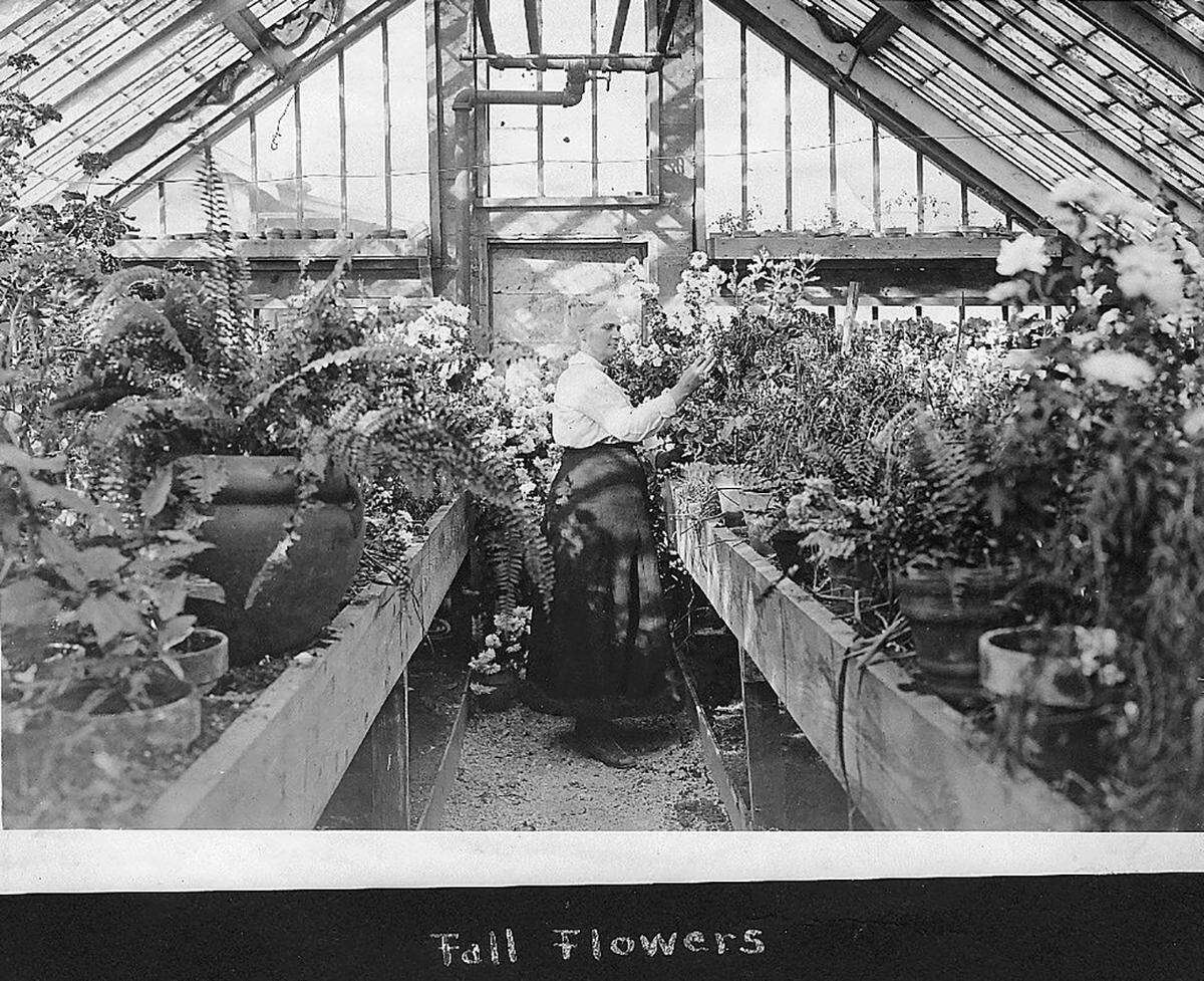 The original Farm, seen in this archive photo circa the 1930s, grew flowers.