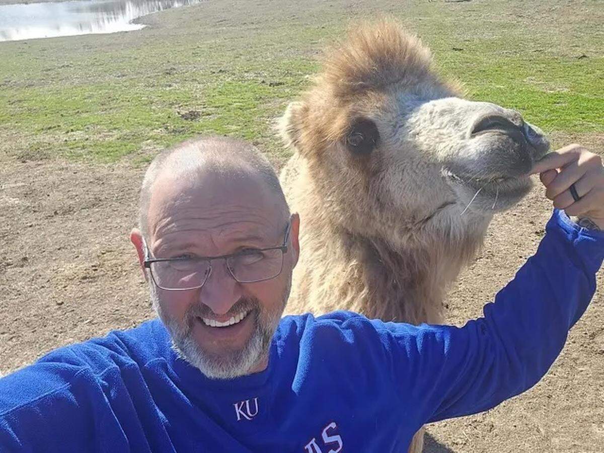 Greg Ostertag, the mayor-elect in Mount Vernon, Texas, feeds a treat to one of his two camels on Ostertag’s farm.