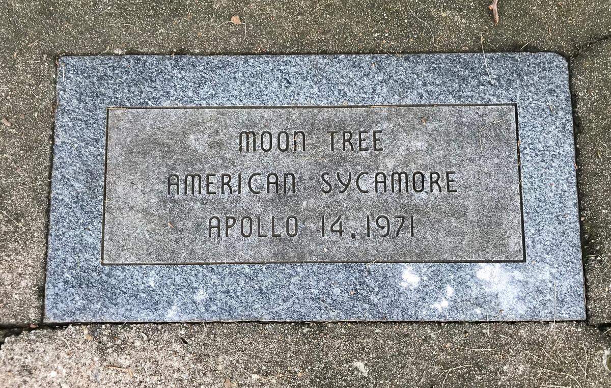 A plaque in the International Forest of Friendship in Atchison, Kansas, marks our local moon tree.