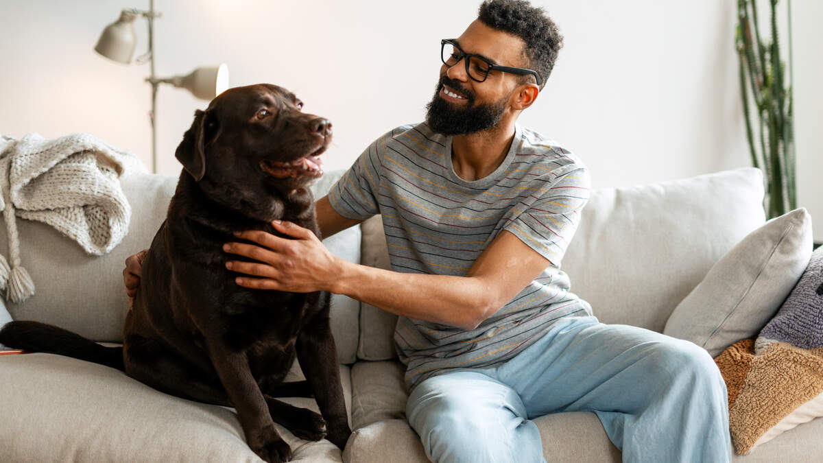 Washable sofa toppers are a game changer for pet owners — here are the best opti...