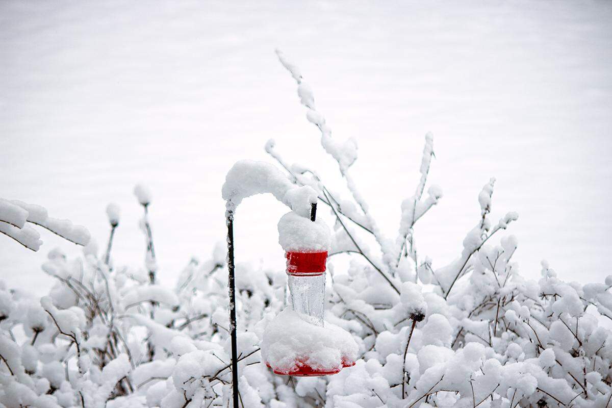 A hummingbird feeder in the Northland, near Zona Rosa off Barry Road. Snow was continuing to fall as of 1 p.m., but accumulation was only about 2 inches in that area, despite the snow weighing heavy on tree branches and falling off roofs in big clumps with wind gusts as the winter storm moved past the Kansas City metro area on Tuesday, Jan. 9, 2024.