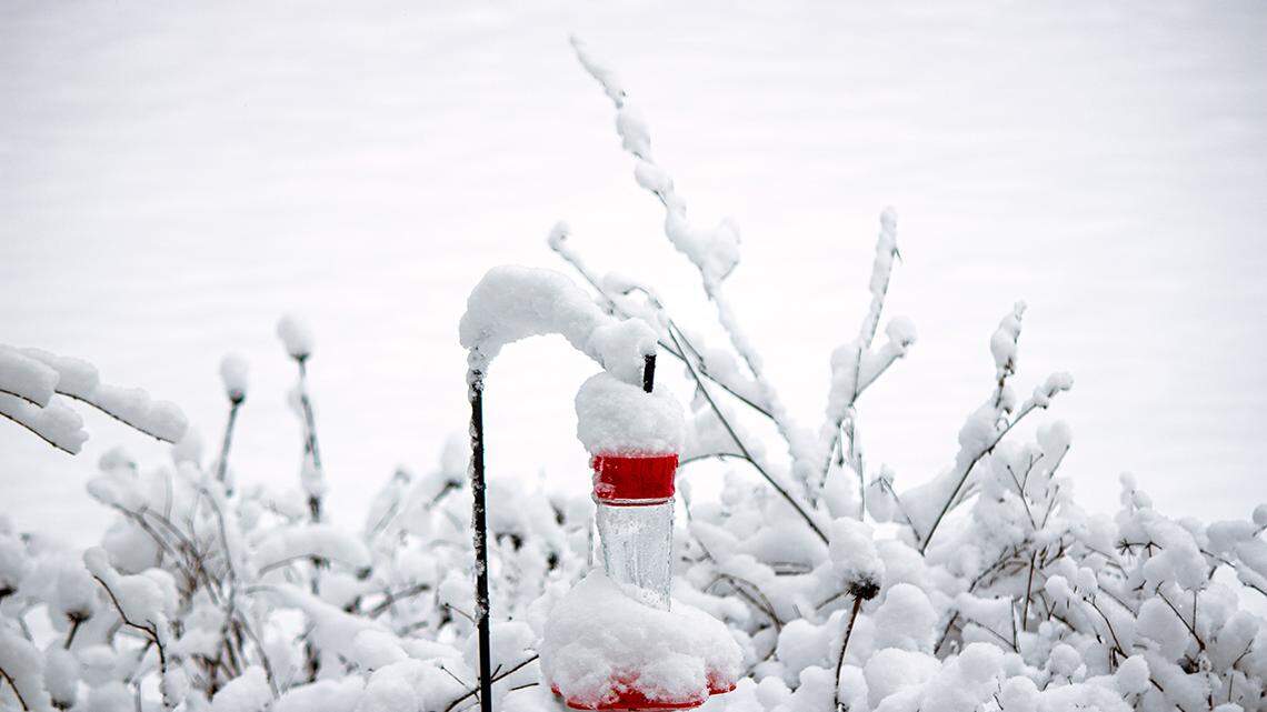 MCCLATCHY File Photo