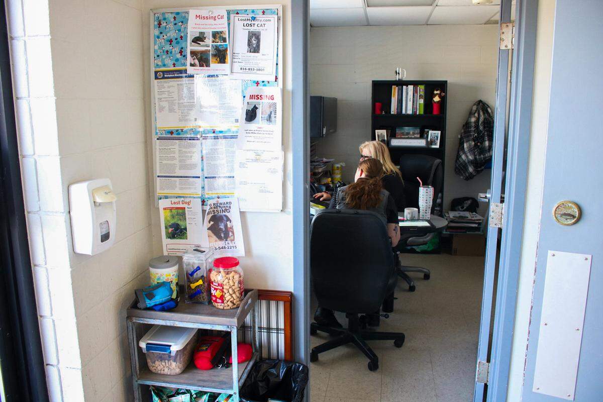 Olathe Animal Shelter employees work in a small office on March 13, 2026. A new animal shelter in the works will expand office space and make rooms for prospective pet adopters to meet animals.