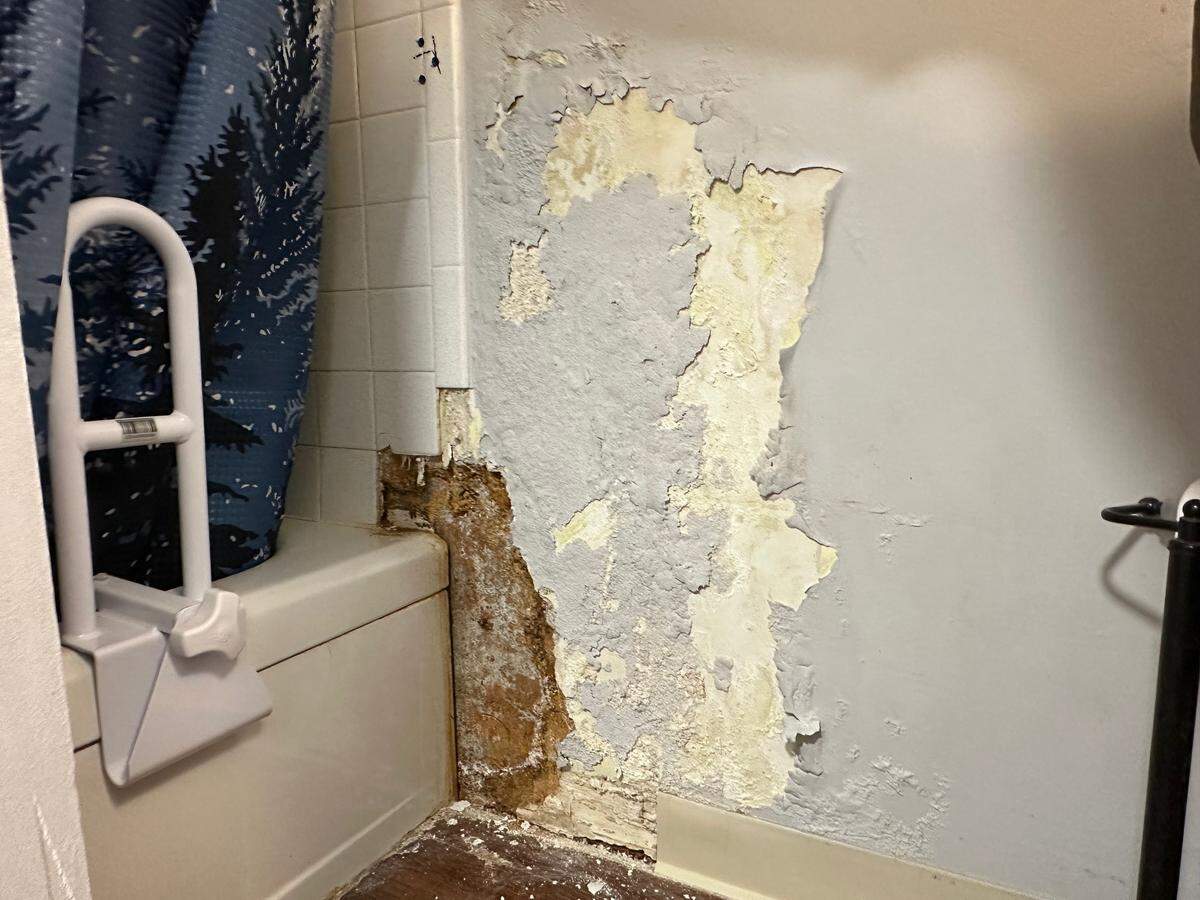 Bowen Tower resident Tina McDonald, 60, said she has a leak in her father’s bathroom that has been intermittently repaired for three years. Maintenance workers broke into the bathroom wall but never fixed the wall, leaving a hole that is currently peeling, she said.