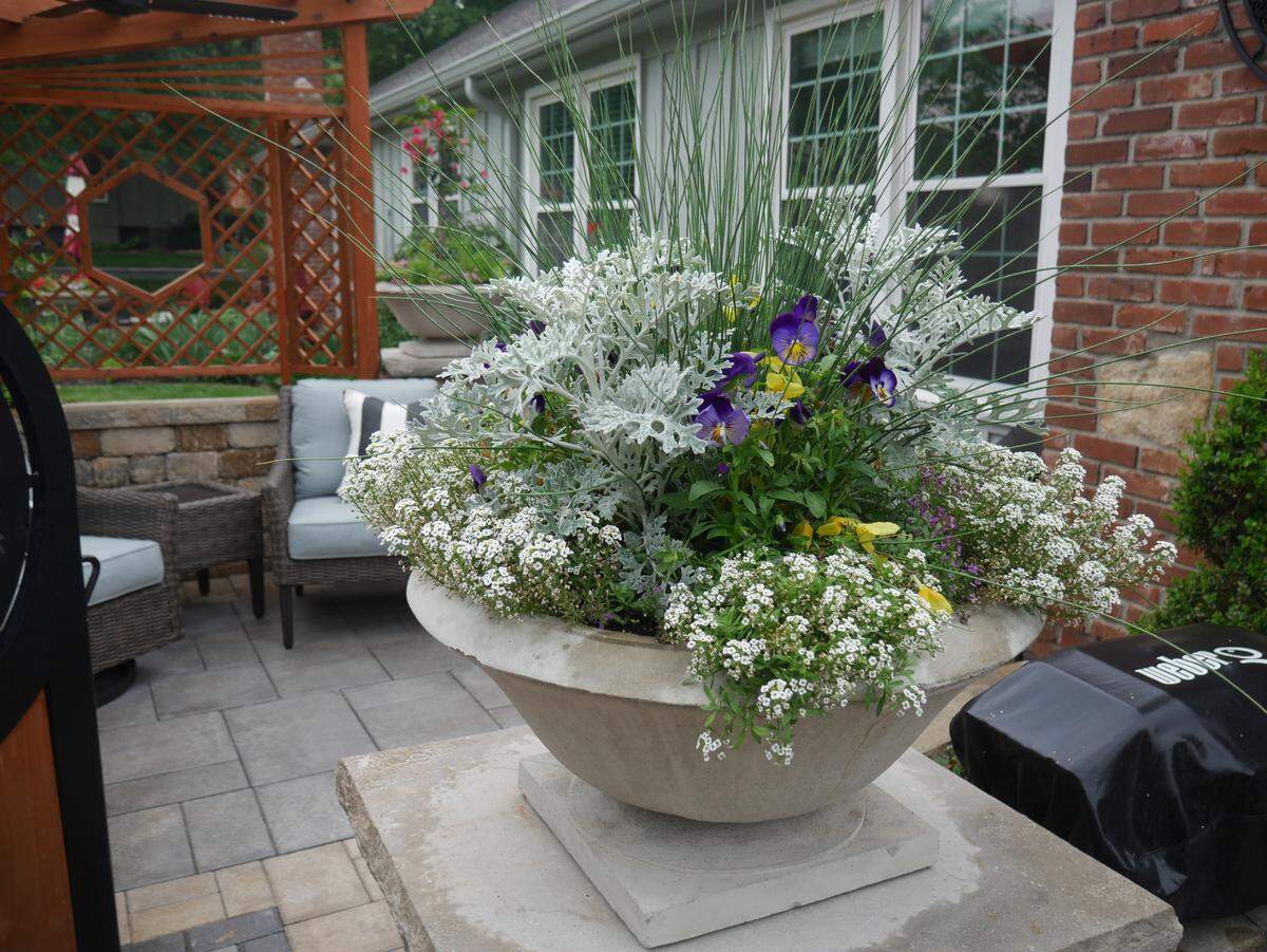 Fill your planters with thrillers, fillers, and spillers.