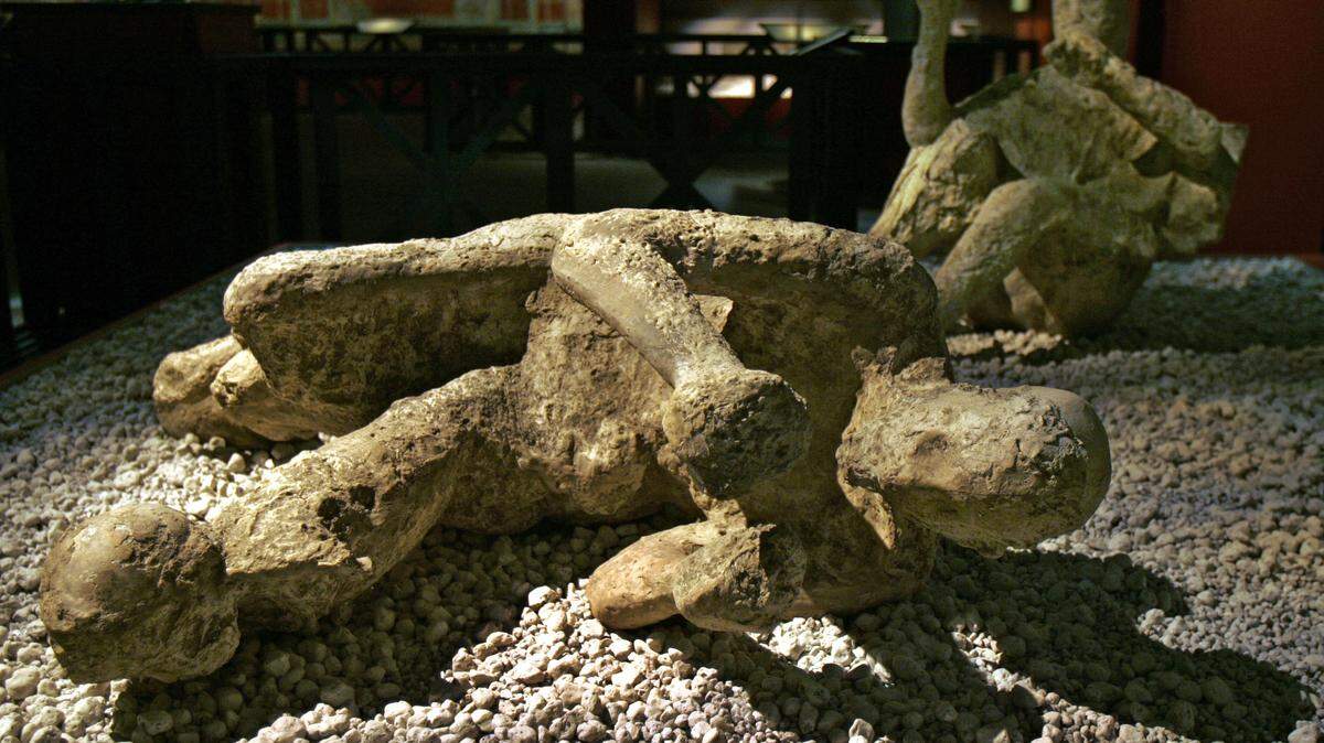 Casts made from the hollows left when the bodies of the Mount Vesuvius volcano victims disintegrated show how people were caught fleeing the eruption in 79 A.D.. They were part of the exhibit “Pompeii, Stories from an Eruption,” at the Field Museum in 2005. Oct. 18, 2005.