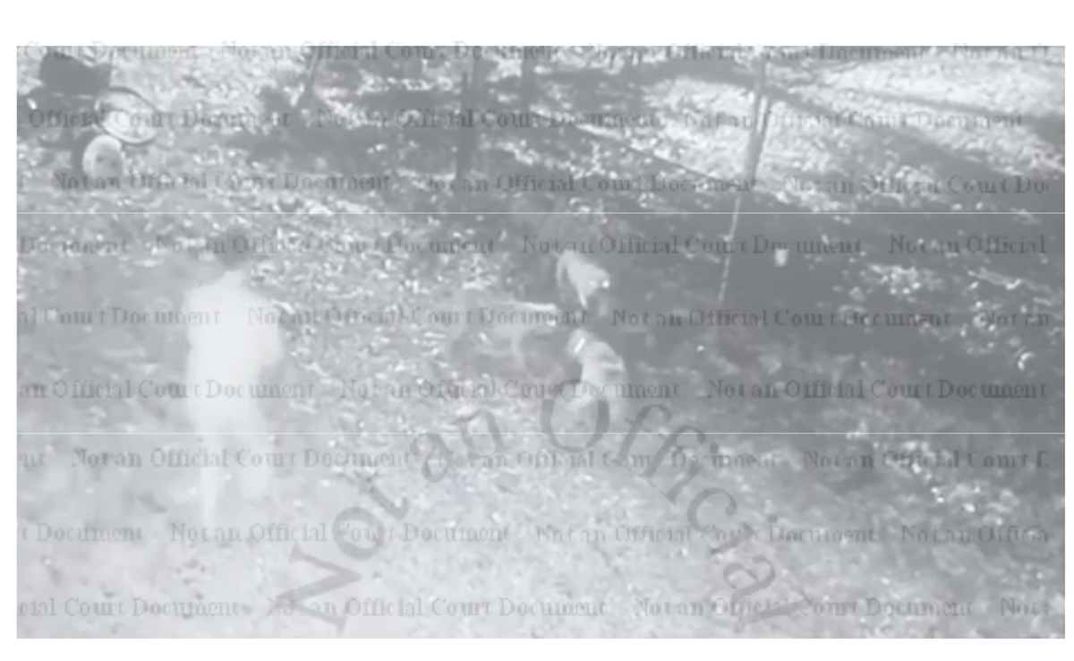 An image from a lawsuit against KC Pet Project allegedly shows Holly Lane (left) attempting to help Chris Culbertson as he was attacked by seven dogs on Nov. 2, 2024.