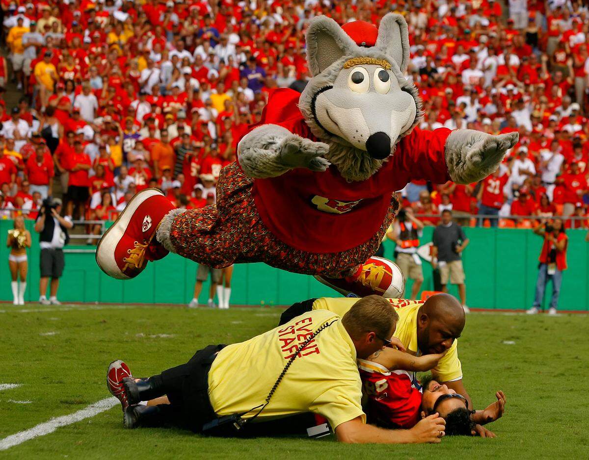 Kansas City Chiefs mascot KC Wolf helped out security guards by diving on a fan that ran out onto the field during the game against the Minnesota Vikings on Sept. 23, 2007, at the Chiefs home opener at Arrowhead Stadium. The fan was arrested and the Chiefs won 13-10 for their first victory of the season.