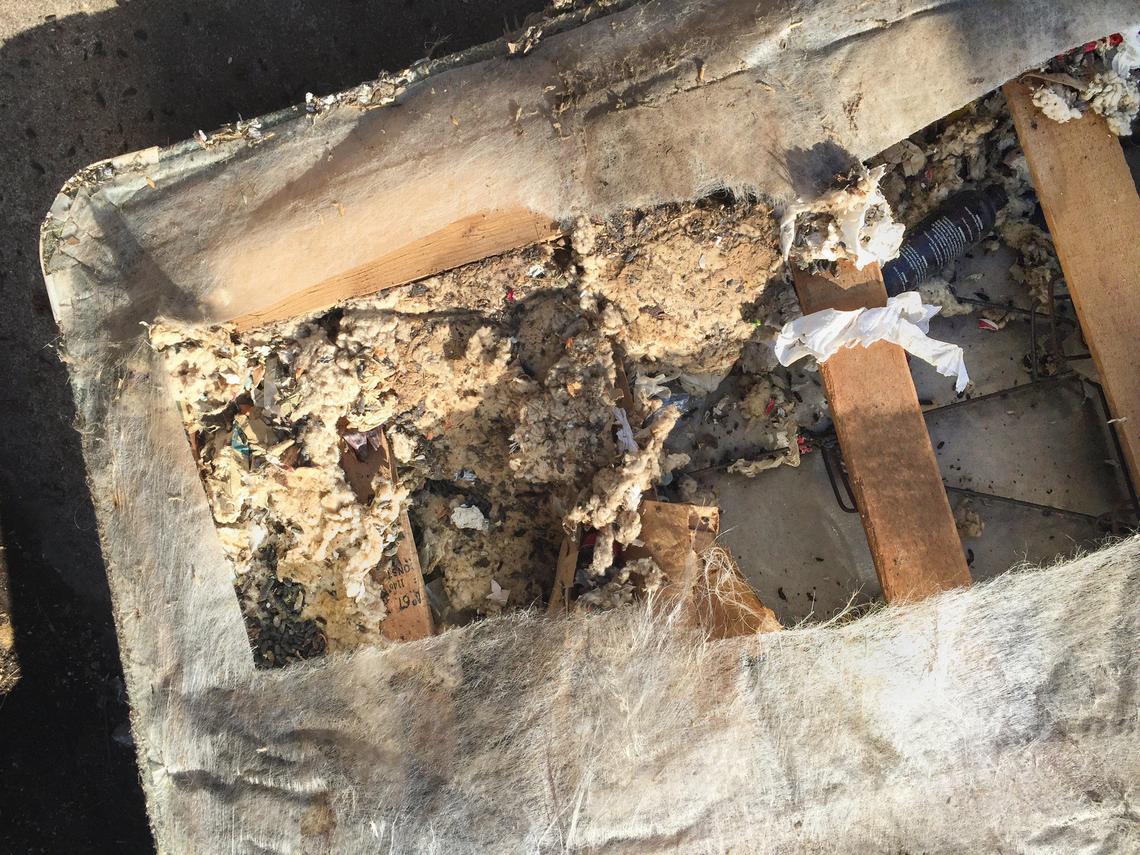 A receiver appointed to clean out Carol Dille’s home found this twin box spring where rats had nested.