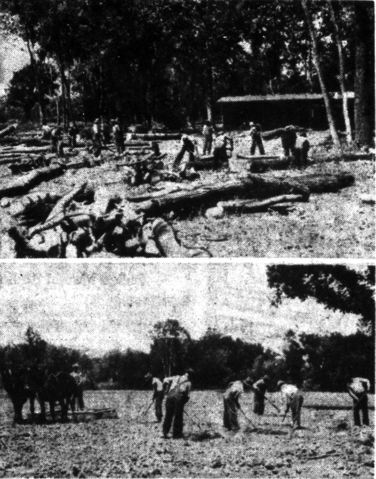 Men clear land on the Helping Hand Farm.