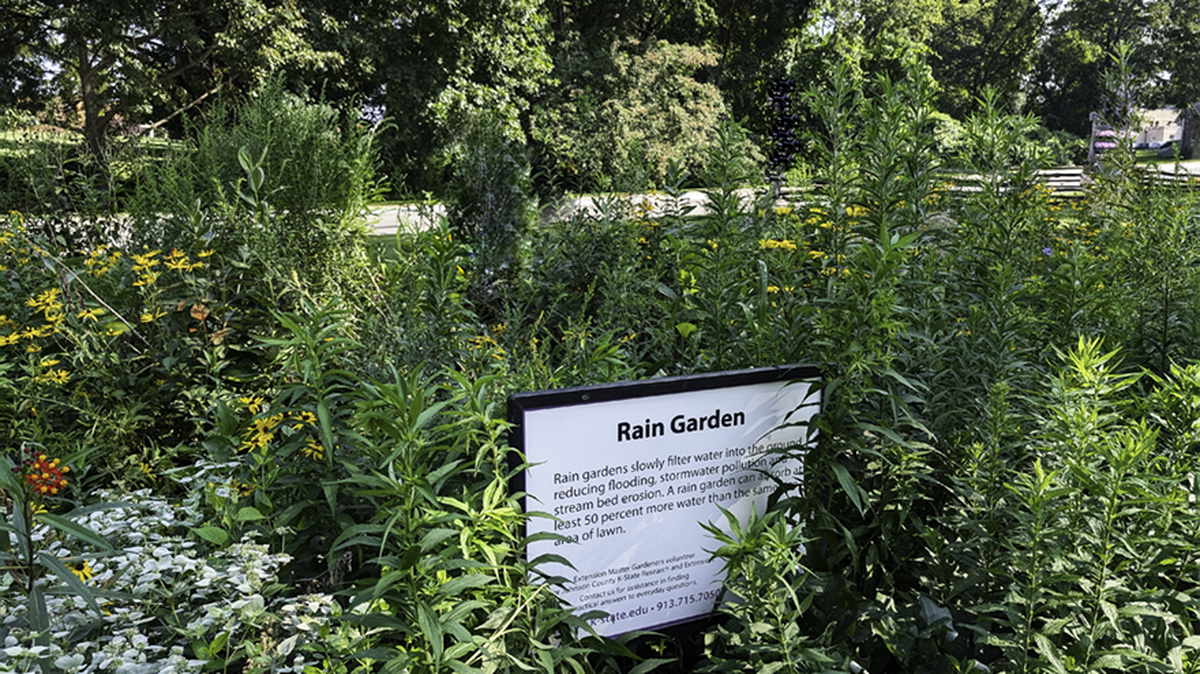 A rain garden at Shawnee Mission Demonstration Garden.