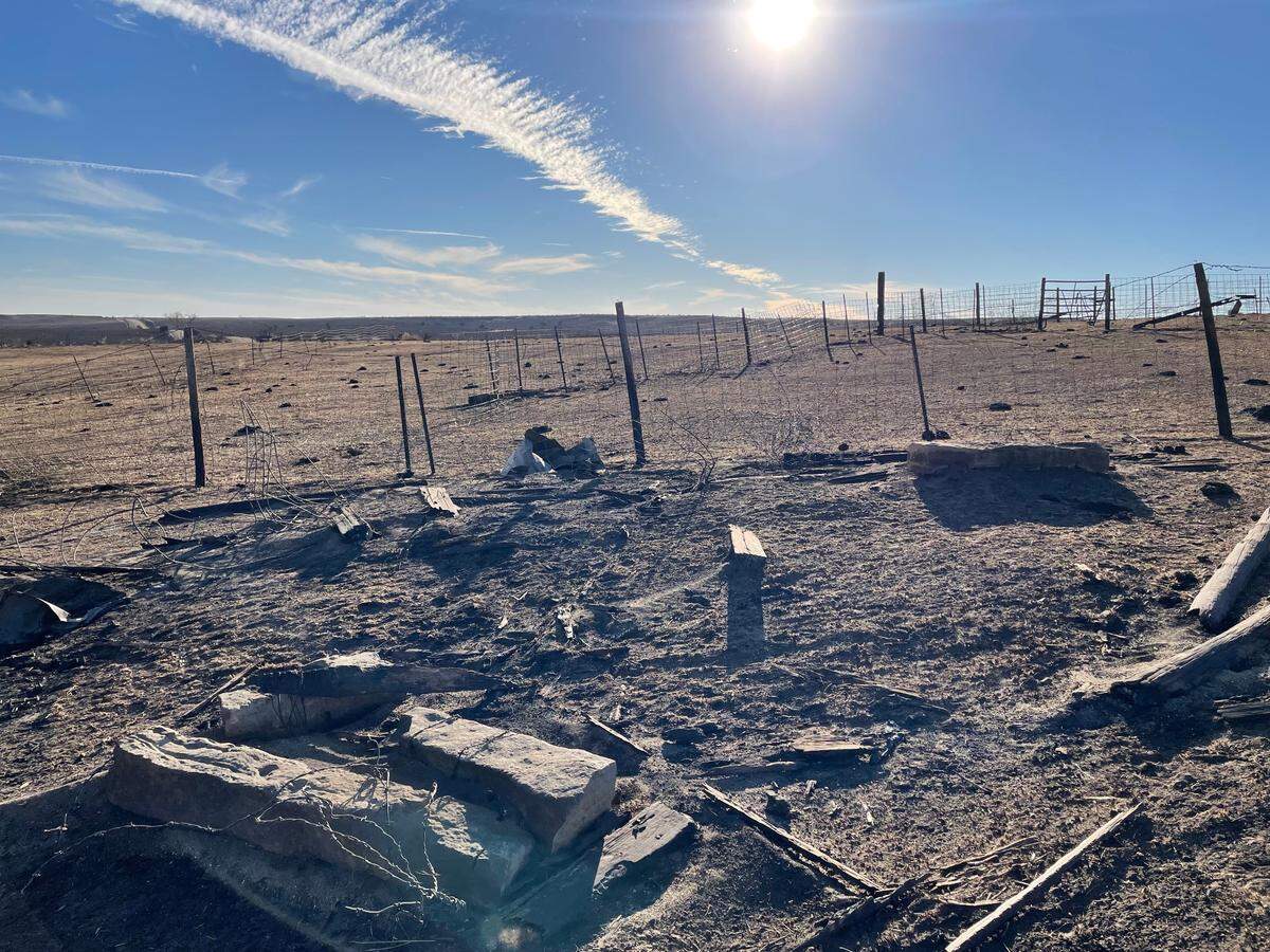 Rich Koester lost about 60 heads of cattle when wildfires swept through Russell County, Kansas Wednesday Dec. 15. The large pasture where he let his cattle graze just south of Paradise was burned as the widlfires burned through the region.