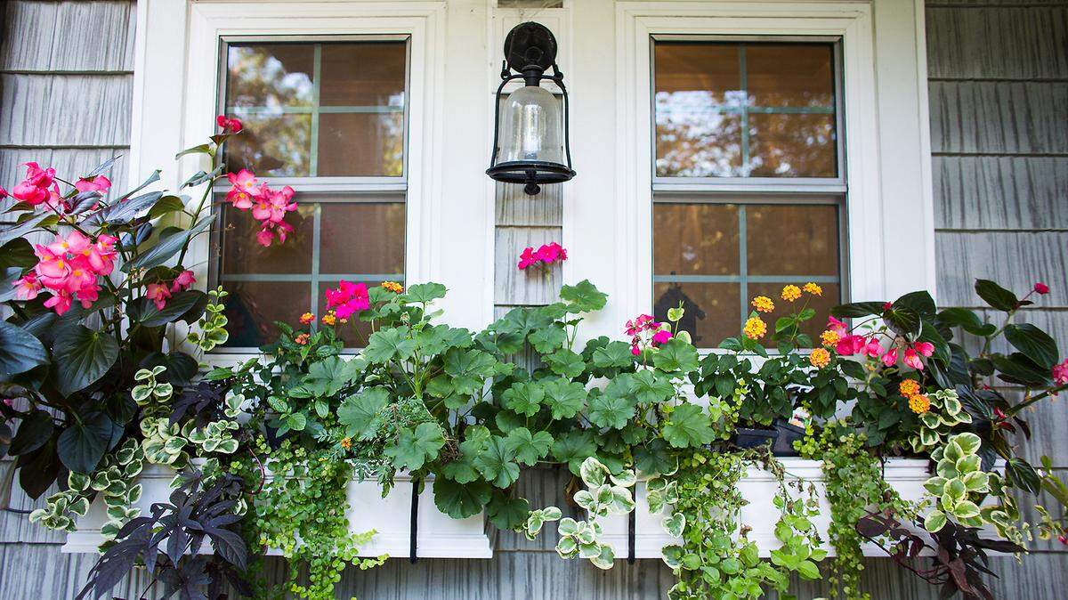 The Kansas City Remodel + Garden Show is the place to find the latest in innovative interior and exterior home remodeling trends, garden and landscaping ideas and products, do-it-yourself projects and more, all under one roof.