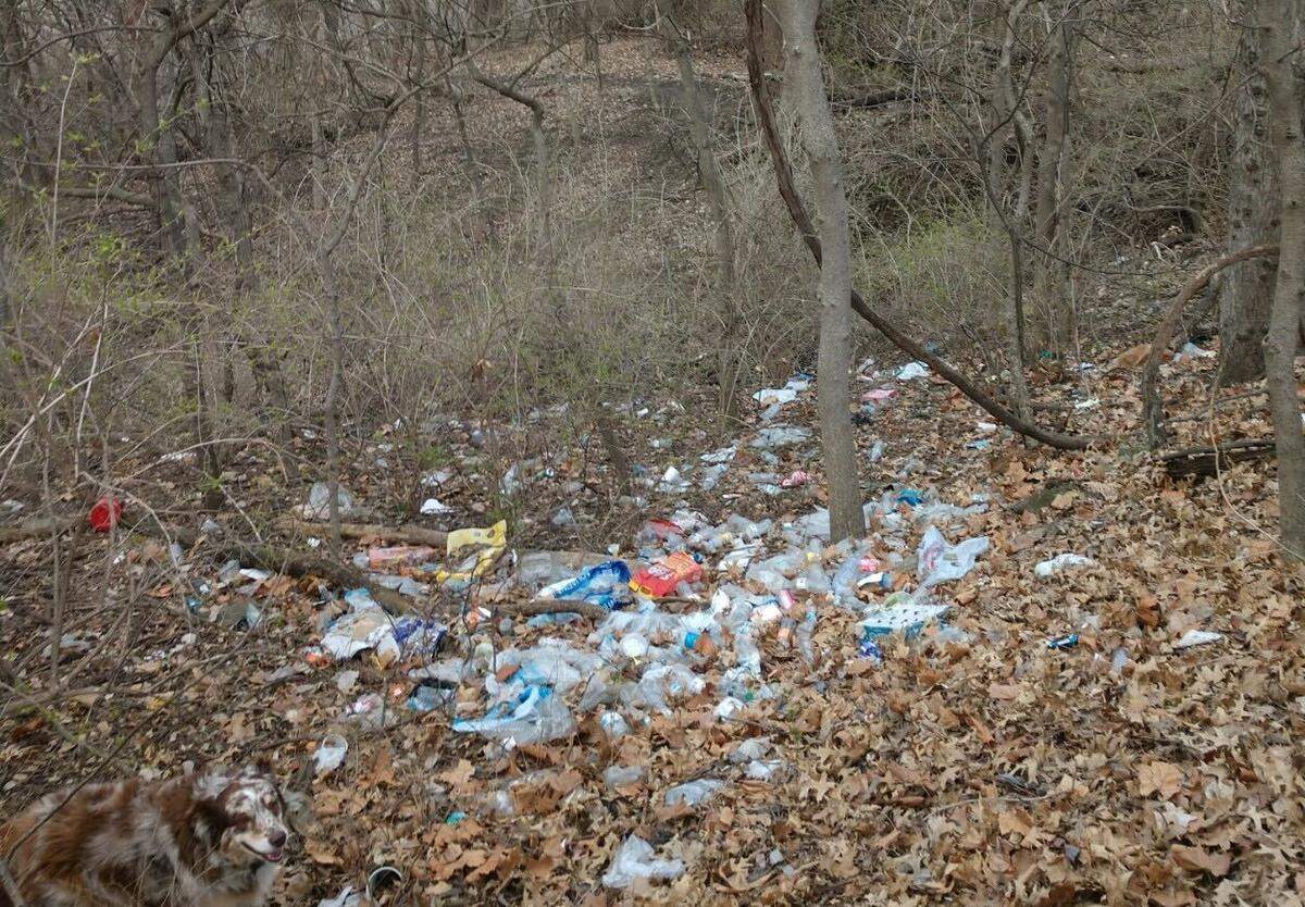 Some of the trash in Kessler Park that Mallory Weber helps clean up.