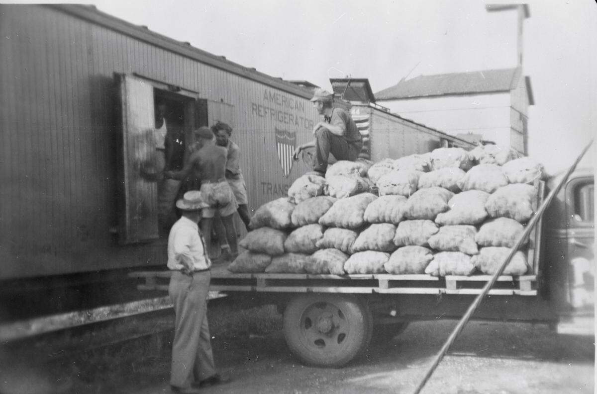German and Italian POWs helped harvest potatoes on about 2,000 acres of Missouri River bottomland in Jackson County during 1943 and 1944.