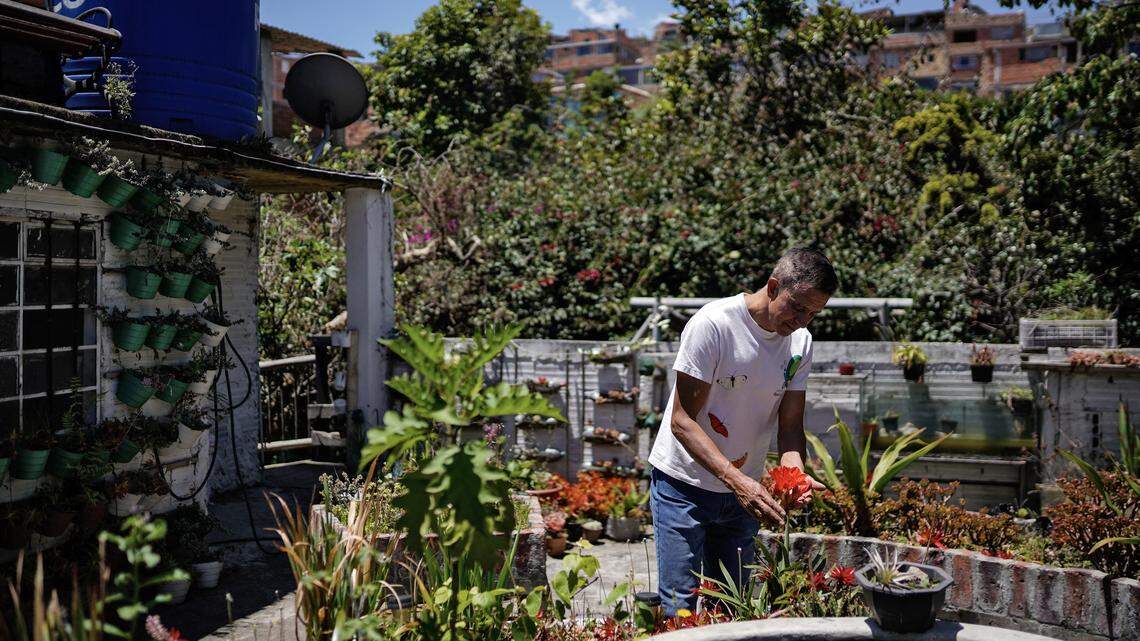 A Low-Effort Guide to Growing the Easiest, Freshest Vegetables at Any Age