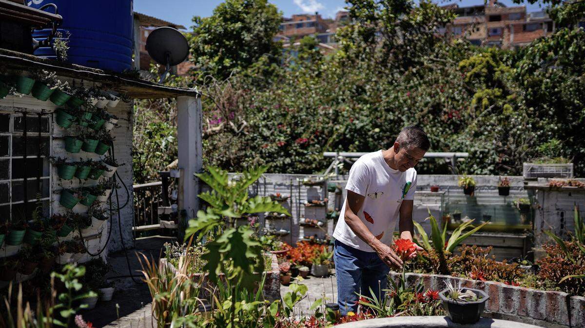 A man tends to his garden outside. (Photo by Sergio Yate / AFP via Getty Images)