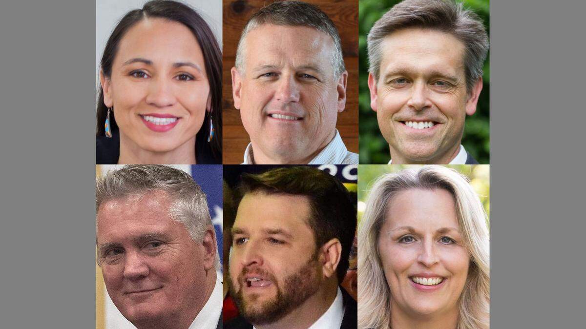 These are the Democratic candidates in Kansas’ 3rd District. Top row, from left: Sharice Davids, Mike McCamon and Tom Niermann; bottom row, from left: Jay Sidie, Brent Welder and Sylvia Williams.