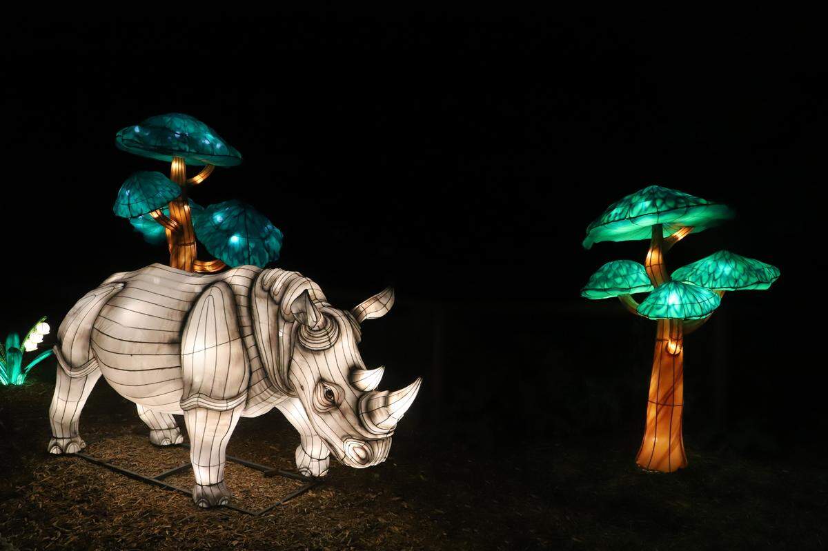 The GloWild festival will showcase a variety of animals like this rhino.