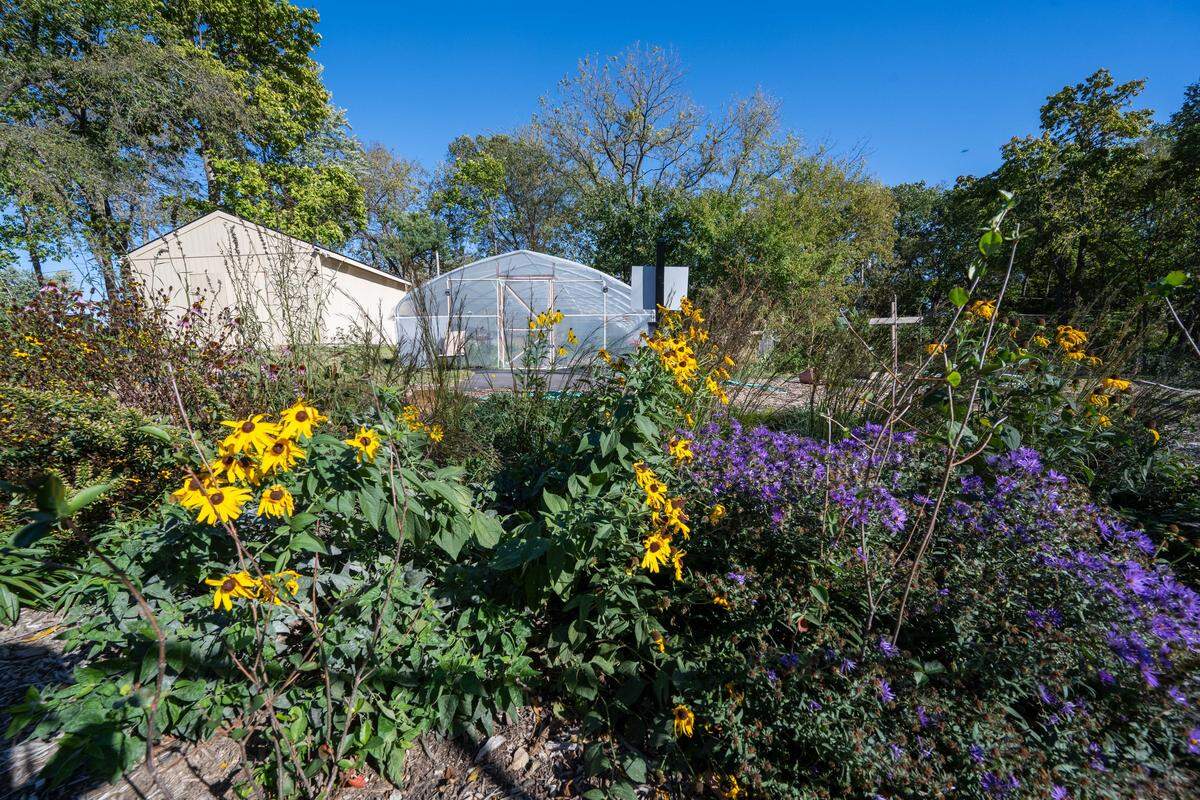 A pollinator garden filled with native plants at an urban farm on Kansas City's East Side, on Tuesday, October 21, 2025.