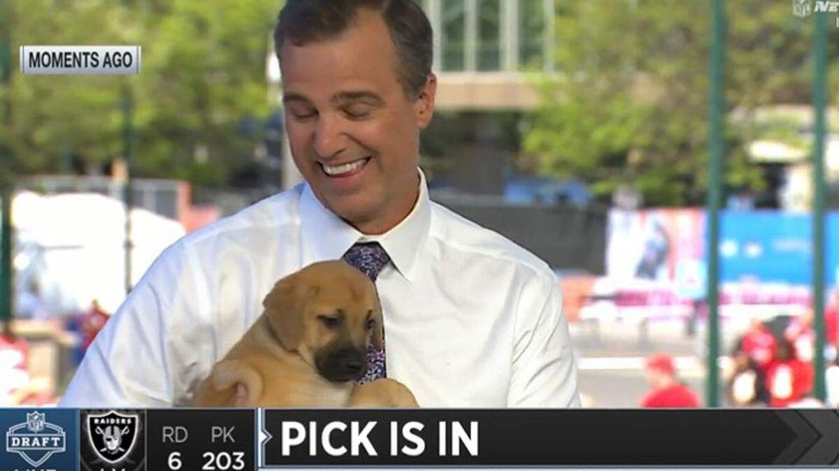 Patrick the puppy was a bit nervous and tinkled on Daniel Jeremiah.