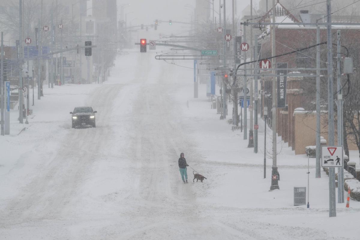 A pedestrian walks their dog down the middle of Main Street in Kansas City on Sunday, Jan. 5, 2025.