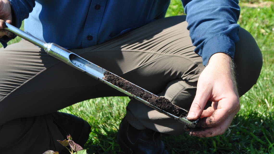 Don’t fail this test: Dig deep to find the secret of your vegetable garden’s success