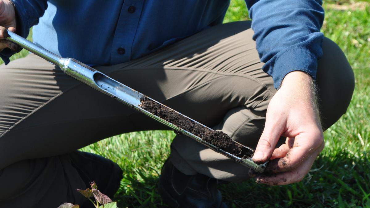 Step one for a successful veggie garden? Get a soil test to reveal nutrient levels, availability and the amendments necessary to support your garden.