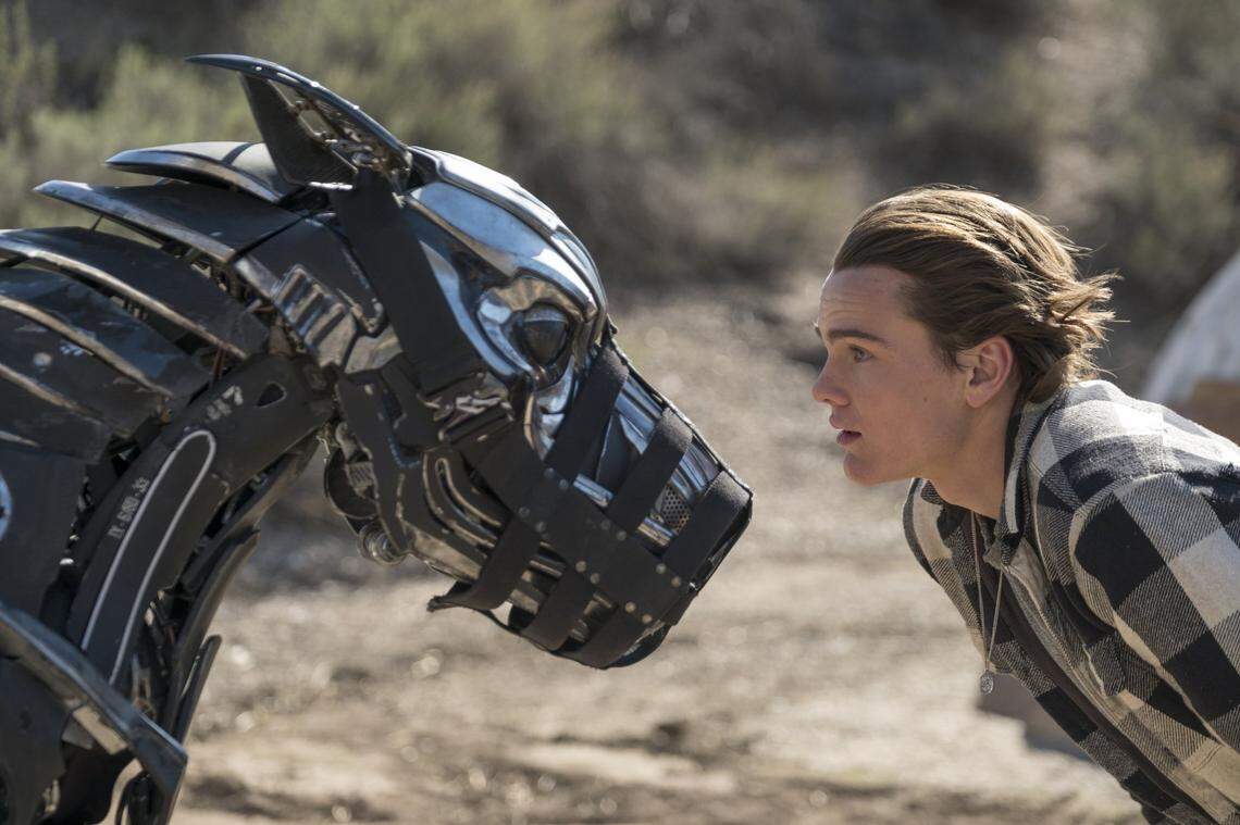 At age 20, Alex Neustaedter starred in the film “A.X.L.,” about a robotic dog.