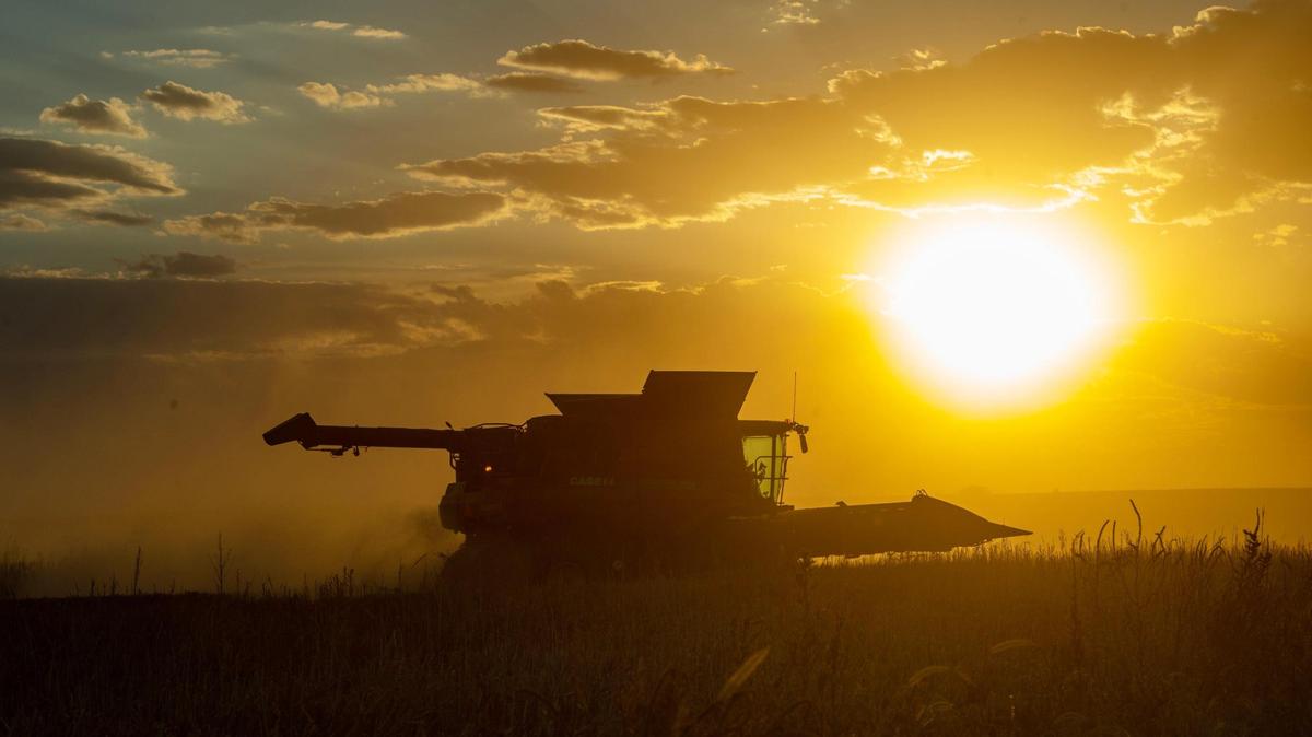 A combine harvesting grain sorghum turns around in a field in Sheridan County, Kansas, in this file photo. The state’s Rural Opportunity Zone programs aims to incentivize new residents to rural areas.