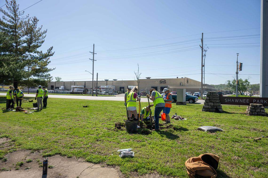 Volunteers prep tree roots and dig holes for planting a during a tree planting event on Thursday, April 16, 2026, in Kansas City. Armourdale Renewal Association and Bridging the Gap enlisted the volunteers to help plant trees in Shawnee Park and the nearby area.