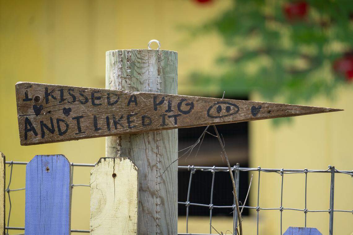 A sign reads, “I kissed a pig and I like it,” at Kansas City Pig Rescue Network's Willeyville Farm in Cleveland, Missouri in Cass County.