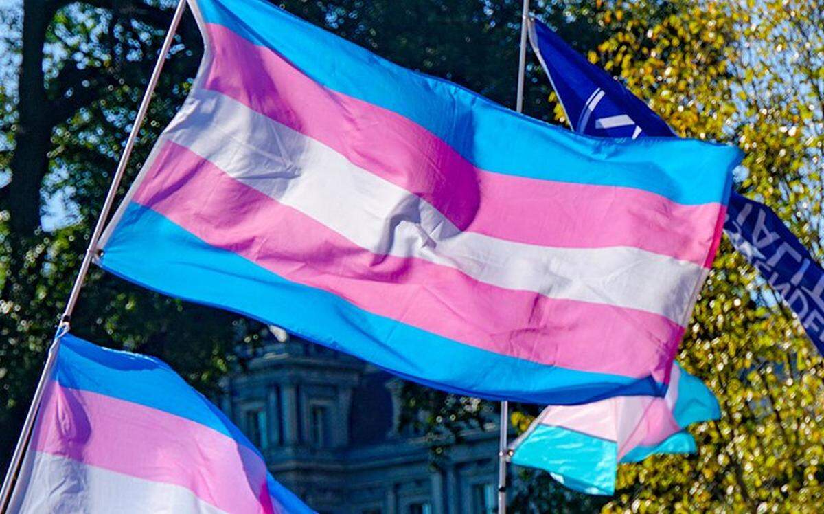 Several transgender pride flags.
