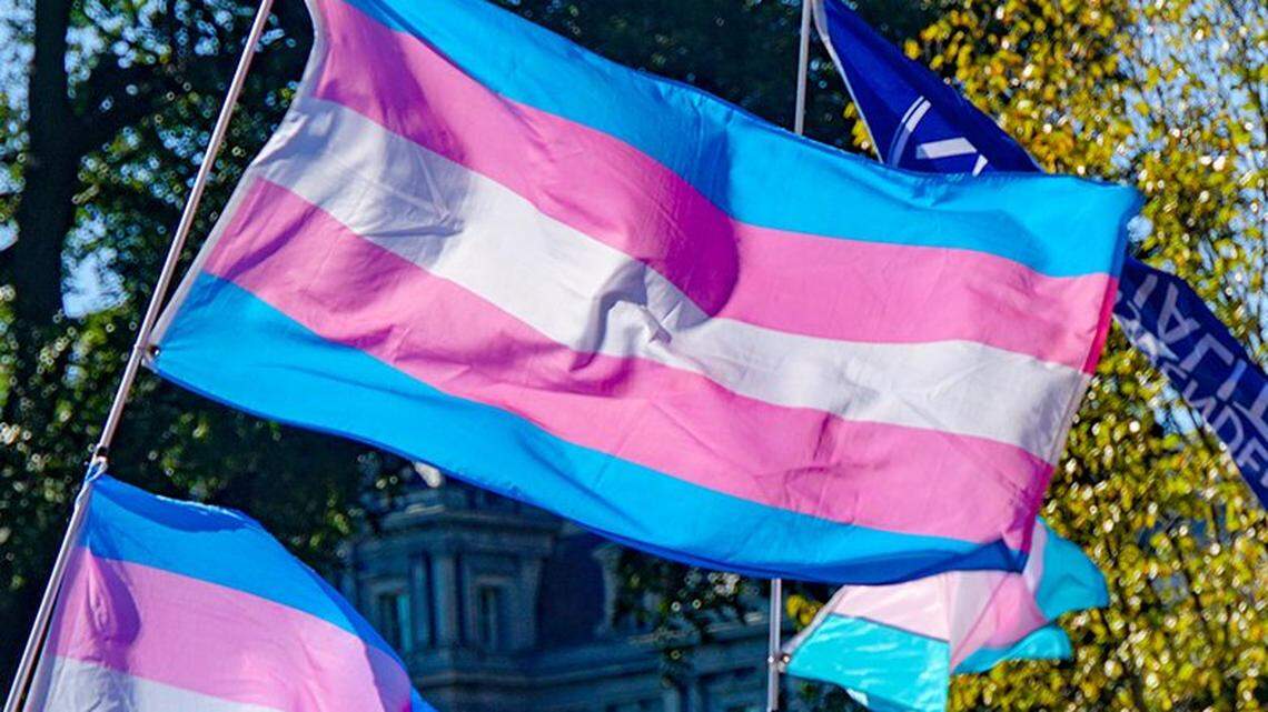 Several transgender pride flags.