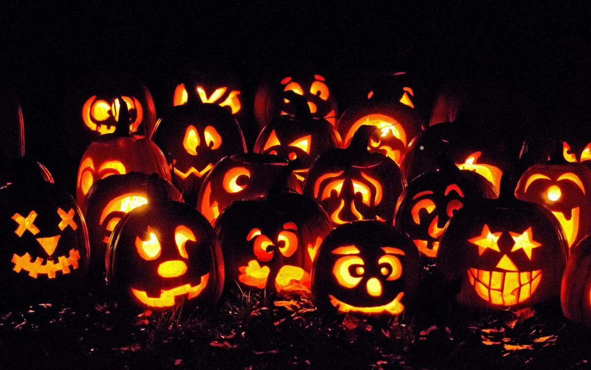 Most area pumpkin patches will remain open through the weekend before Halloween, when the gourds will take on their new role as Jack-o’-lanterns.