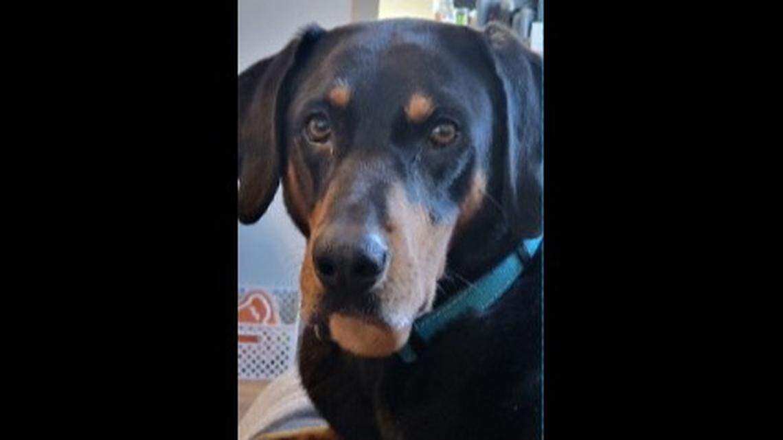 One Iowa man plans to spend his lottery win on a home improvement project with his dog in mind.