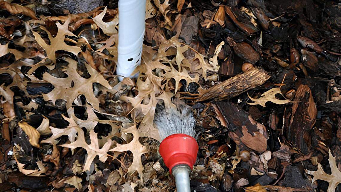 During dry fall, here’s how to protect your Kansas City-area landscaping