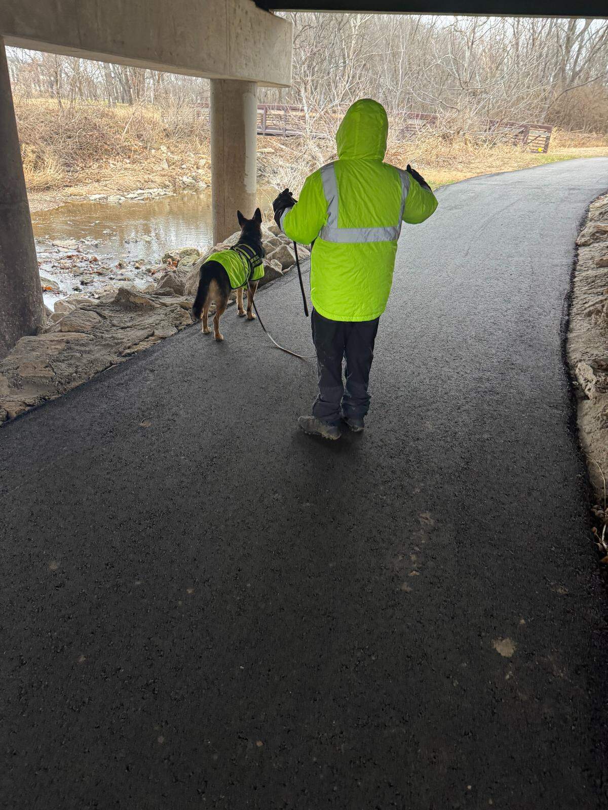 Karin TarQwyn, known as the “K9 P.I.,” guides one of her search dogs along Tomahawk Creek in Johnson County looking for Gracie.