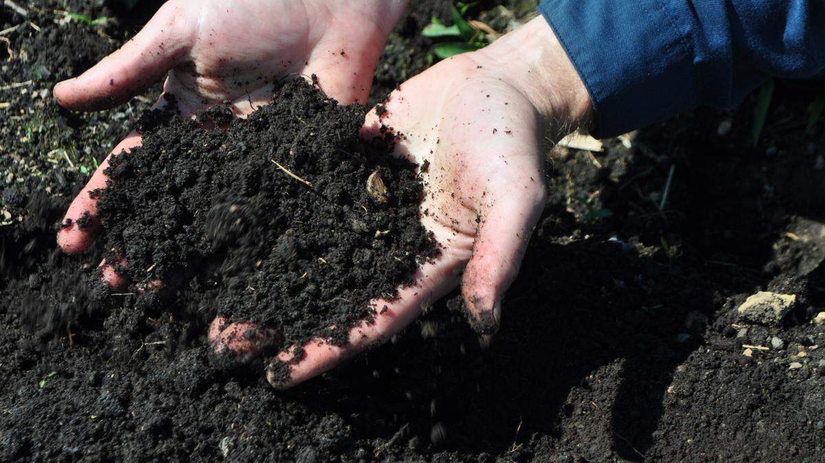 Your soil’s pH has everything to do with how your plants grow and thrive.