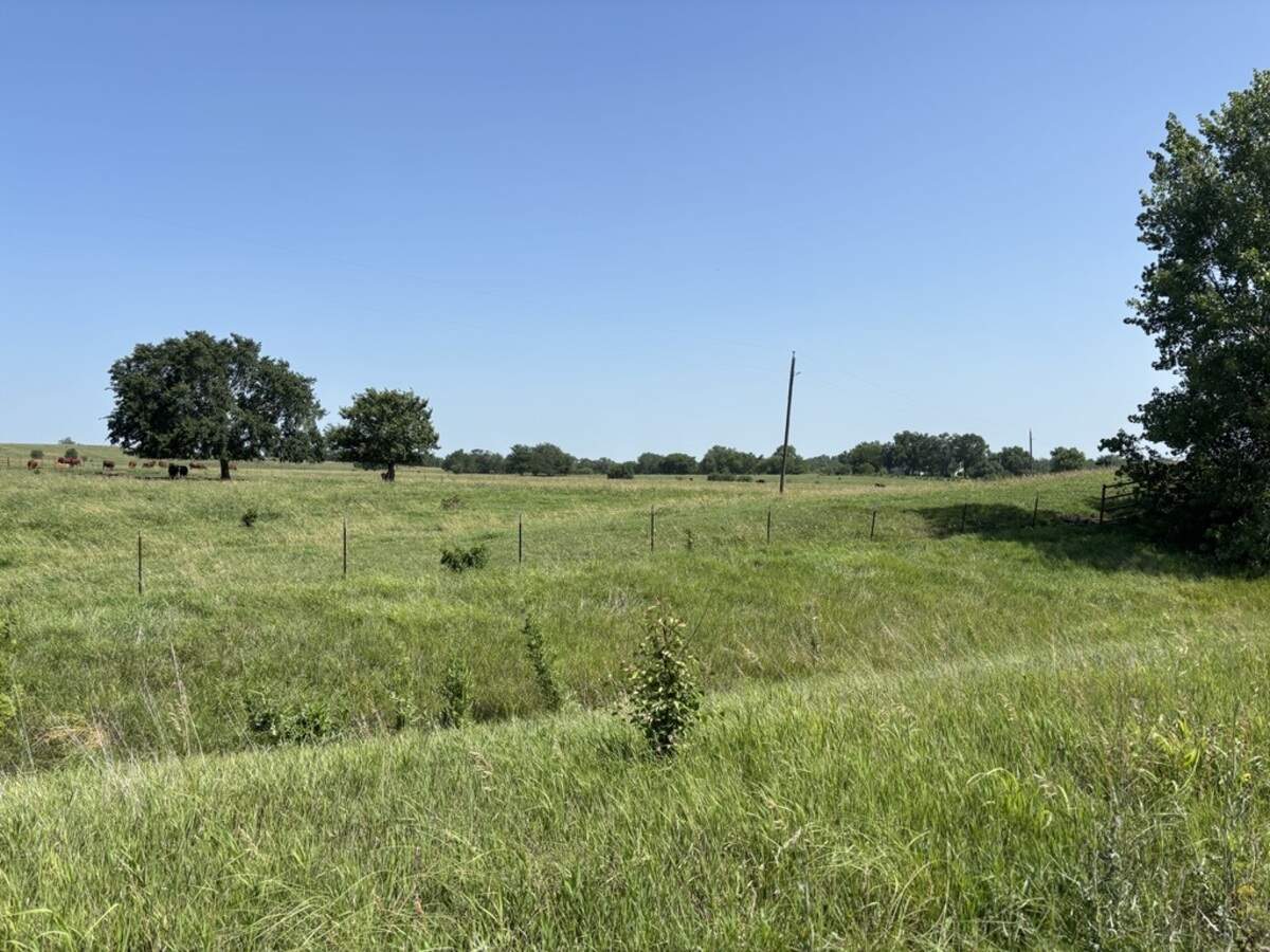 A picture of farmland.