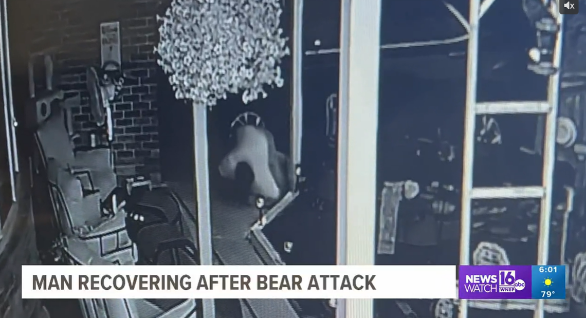 John Swartz can be seen stumbling to his feet and running to escape the bear, video shows.